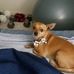 Profile Picture of Eric Dutton (@eric.dutton.14661) on Facebook