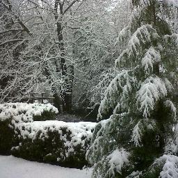 Profile Picture of David Sprecher (@DHSprecher) on Twitter