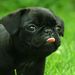 Profile Picture of Hideg Zalán (@Zotorix) on Pinterest