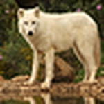 Profile Picture of Carlos Daniel Maria (@dinosaurios en luna llena) on Flickr