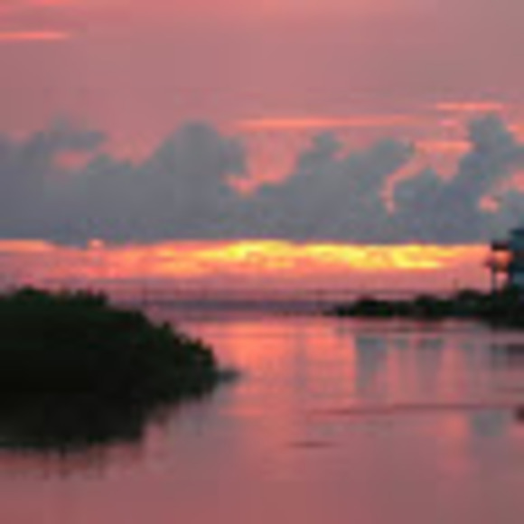 Profile Picture of Eileen Webb (@eye1447) on Poshmark