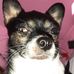 Profile Picture of David Scoggin (@david.scoggin.75) on Facebook