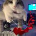 Profile Picture of Mary Cooley (@mary.cooley.37819) on Facebook