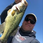 Profile Picture of Shad Kitchen (@shad_fishyfishy_kitch) on Instagram