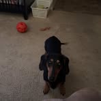 Profile Picture of Dylan Hardy (@Dylan-Hardy) on Facebook