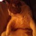 Profile Picture of Feivel Scharoedtser (@feivel.scharoedtser) on Facebook