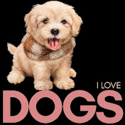 Profile Picture of Kotun Ifeoluwa (@kotunifeoluwa7900) on Youtube