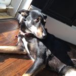 Profile Picture of Matthew Duda (@javierflounder) on Instagram