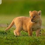 Profile Picture of Daniel Guttman (@daniel_guttman_) on Instagram