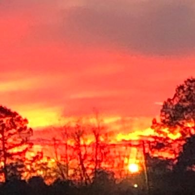Profile Picture of Mark Dailey (@amparts250) on Twitter