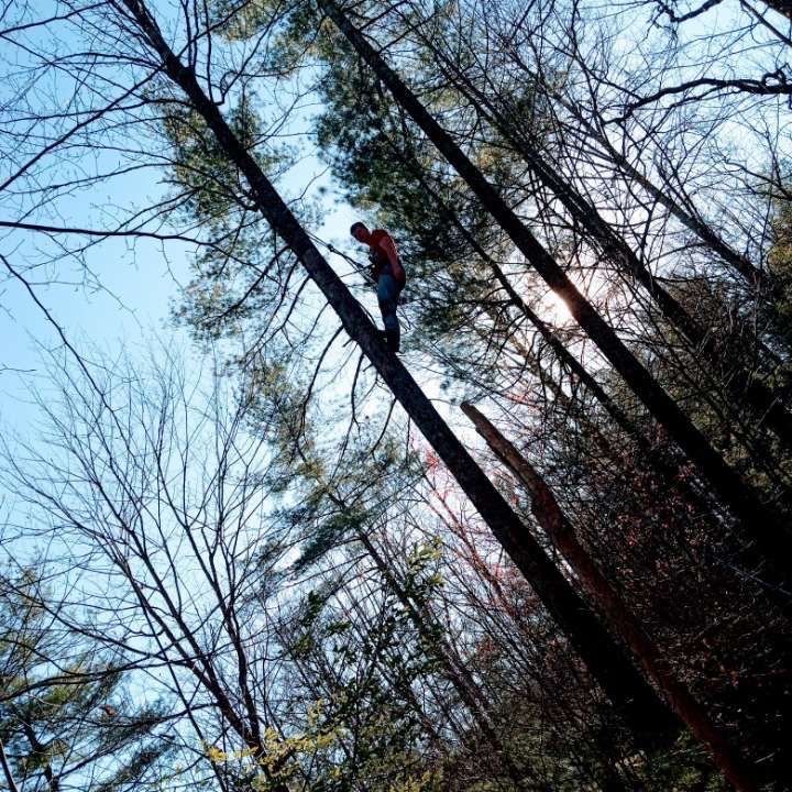 Profile Picture of Bryson Roberts (@brysonroberts11) on Tiktok