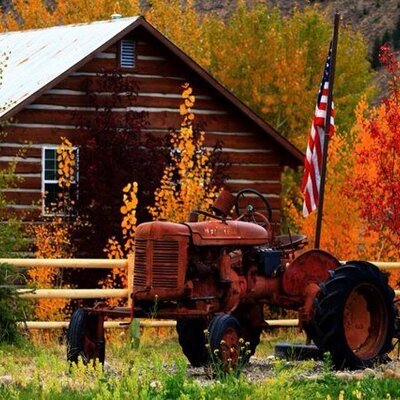 Shane Lilly - Twitter Profile Picture of Shane Lilly (@lilly_shaned6) on Twitter