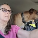 Profile Picture of Todd Murphy (@Todd-Murphy) on Facebook