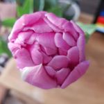 Profile Picture of stephen cornelius meyer (@stephencorneliusme) on Instagram