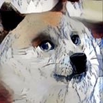 Profile Picture of Davis Spencer (@some_guy_took_this) on Instagram