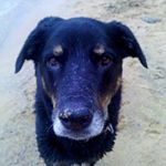 Profile Picture of Brian Snider (@brianhuddypax) on Instagram