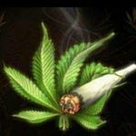 Profile Picture of jeffplenix123@gmail.com (@jeffplenix123) on Instagram