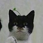 Profile Picture of Anna Emmett Dylan (@rebound_memes) on Instagram