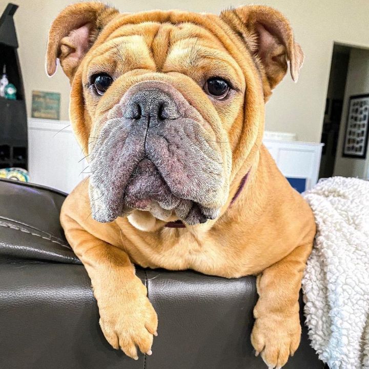 Profile Picture of Joseph Lofquist (@josephlofquist7800) on Tiktok