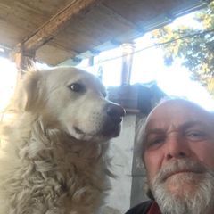 Profile Picture of Luciano Bartoli (@lucianobartoli0) on Tiktok