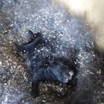 Profile Picture of David Vondrák (@vondrakd) on Instagram