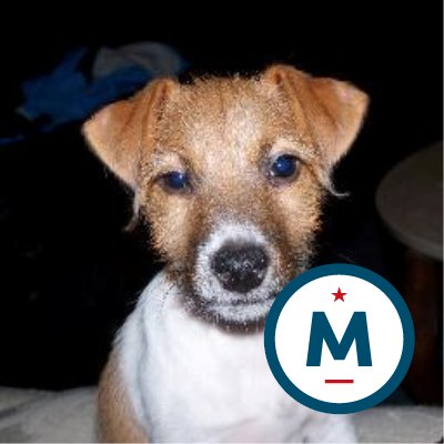 Profile Picture of John Lochhead (@jmlrt691) on Twitter