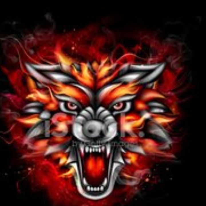 Profile Picture of pietro (@pietro_zarrillo) on Tiktok