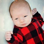 Profile Picture of Bobby Reed (@krazyflakrackerdude) on Instagram