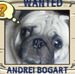 Profile Picture of Andrei Bogart (@andrei.bogart) on Facebook