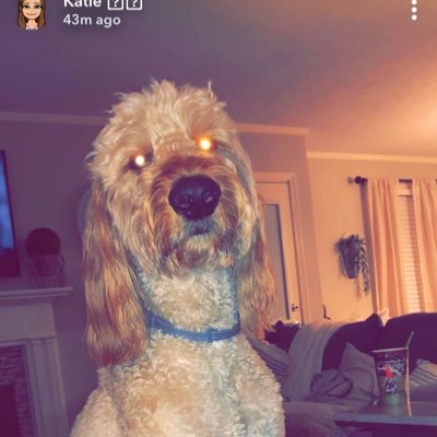 Profile Picture of Peyton (@OutlawRobbie) on Twitter