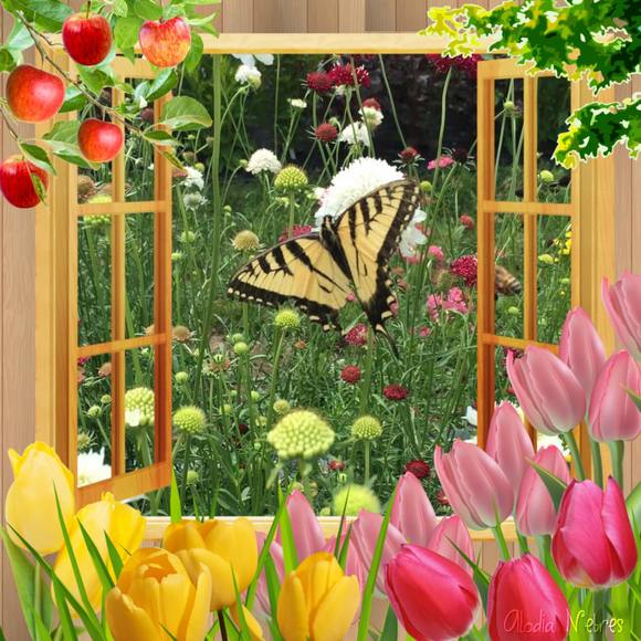 Profile Picture of Betty Sallade (@bettysallade) on Poshmark