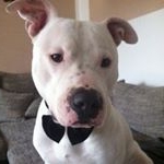 Profile Picture of robschiller2207 (@robschiller2207) on Instagram