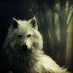 Profile Picture of Michael Scott Ries (@riesmichaelscott) on Instagram