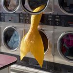 Ariel Ong - Instagram Profile Picture of Ariel Ong (@ariel5336) on Instagram