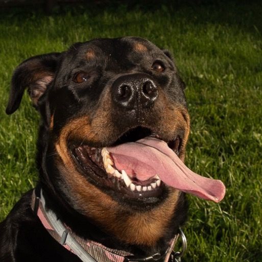 Profile Picture of shanner726 (@shanner726) on Tiktok