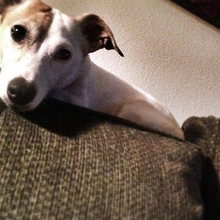 Profile Picture of Daisy Colbert (@daisy.colbert.3) on Facebook