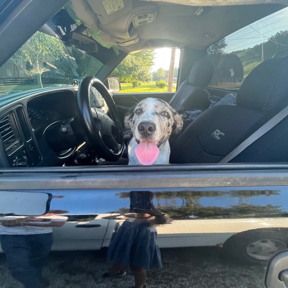 Dixie Watkins - Poshmark Profile Picture of Dixie Watkins (@dlwwtkins) on Poshmark