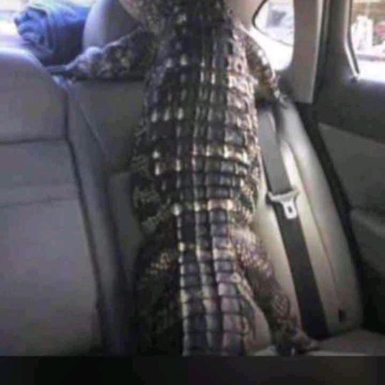 Profile Picture of Terrence_Hughes (@terrence_hughes) on Tiktok