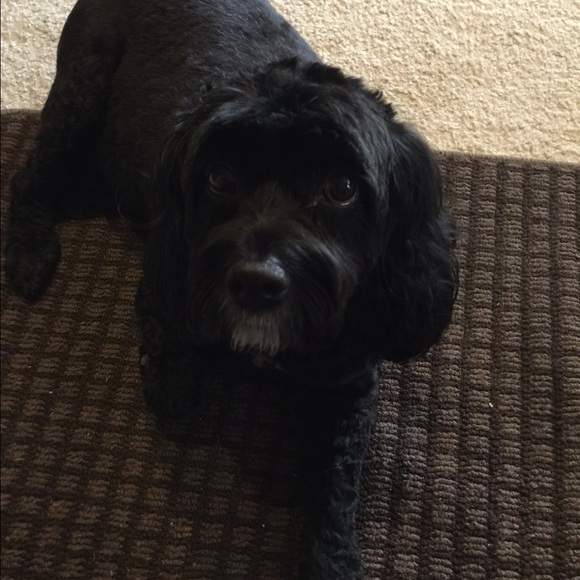 Profile Picture of Karl Ashby (@karrell13) on Poshmark