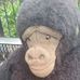 Profile Picture of Randy Ernest (@randy.ernest.1) on Facebook
