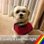 Profile Picture of mary scully (@mary_ellen_1960) on Instagram