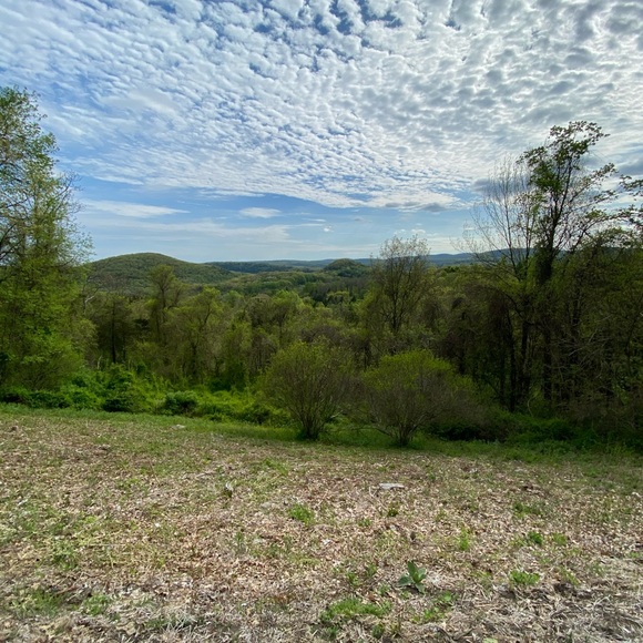 Profile Picture of Luigi Tarantello (@freshfitz979) on Poshmark