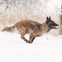 Profile Picture of Wendie Elsch (@wendie-elsch) on Quora