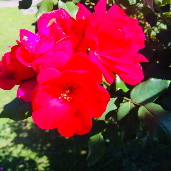 Profile Picture of Avani Basrai (@aviavani07) on Poshmark