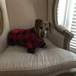 Profile Picture of Carolyn Maloney Gillio (@carolyngillio) on Instagram