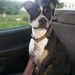 Profile Picture of Scott Althouse (@scott_althouse) on Pinterest