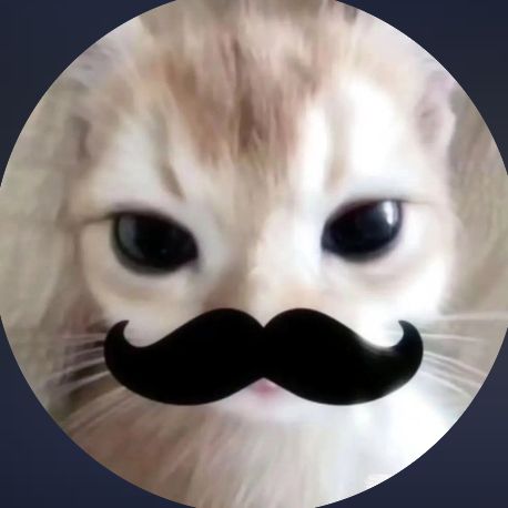 Profile Picture of 𝑨𝒍𝒊𝒙𝒔𝒐𝒏 (@__099.088) on Tiktok