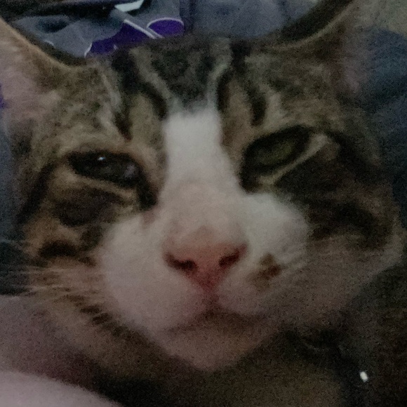 Profile Picture of Jonathan Hodges (@johnhodges98) on Poshmark