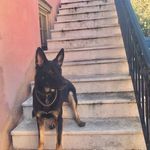 Profile Picture of Olivia Parrish (@greta_goose_official) on Instagram