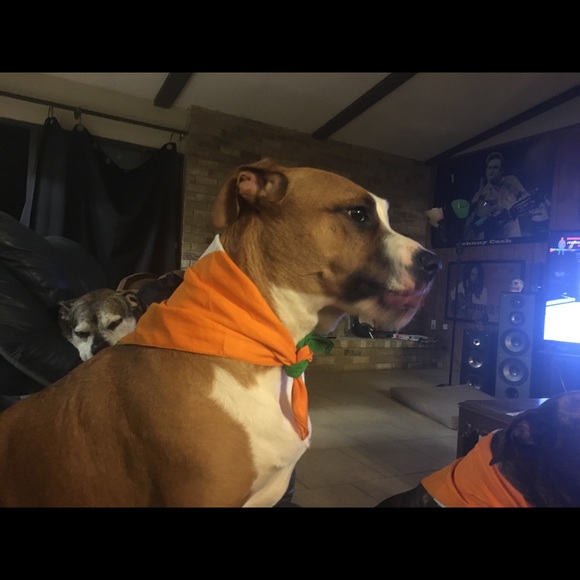 Profile Picture of Misty Slover (@mistyslover) on Poshmark